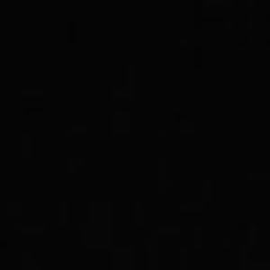 Meet your Posher, Bryce